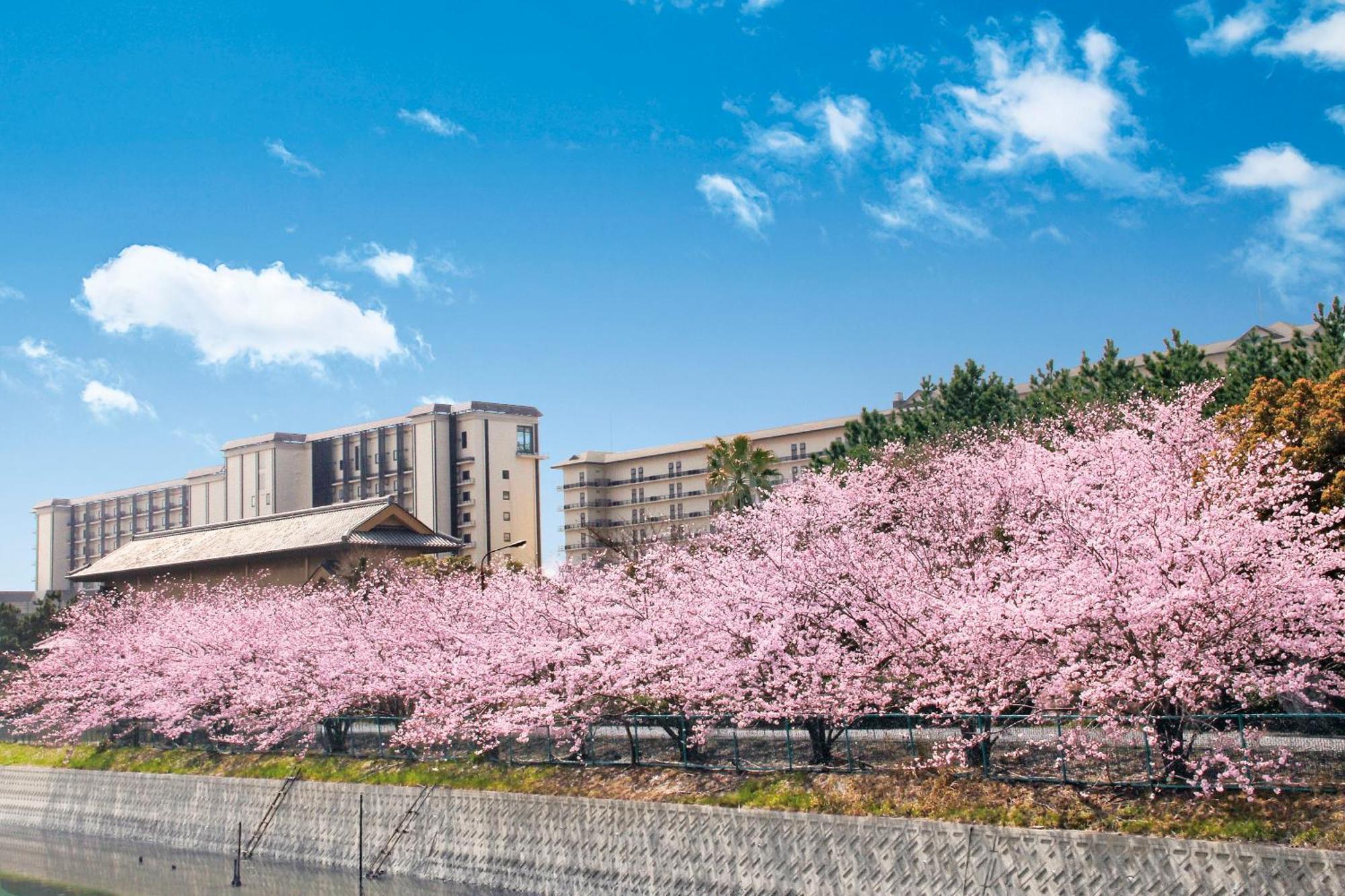 Ryugujo Spa Hotel Mikazuki Fujimitei Kisarazu Εξωτερικό φωτογραφία